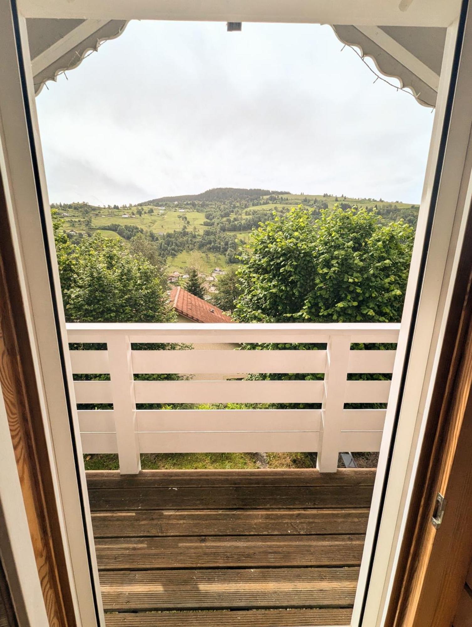 Chalet Sauna Jacuzzi 6 Personnes La Bresse Eksteriør billede