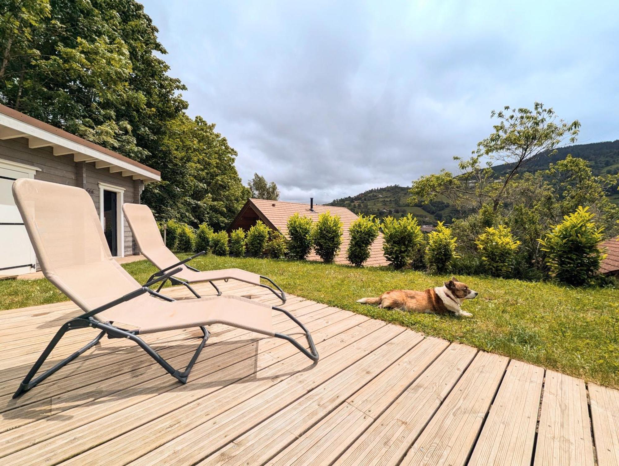 Chalet Sauna Jacuzzi 6 Personnes La Bresse Eksteriør billede